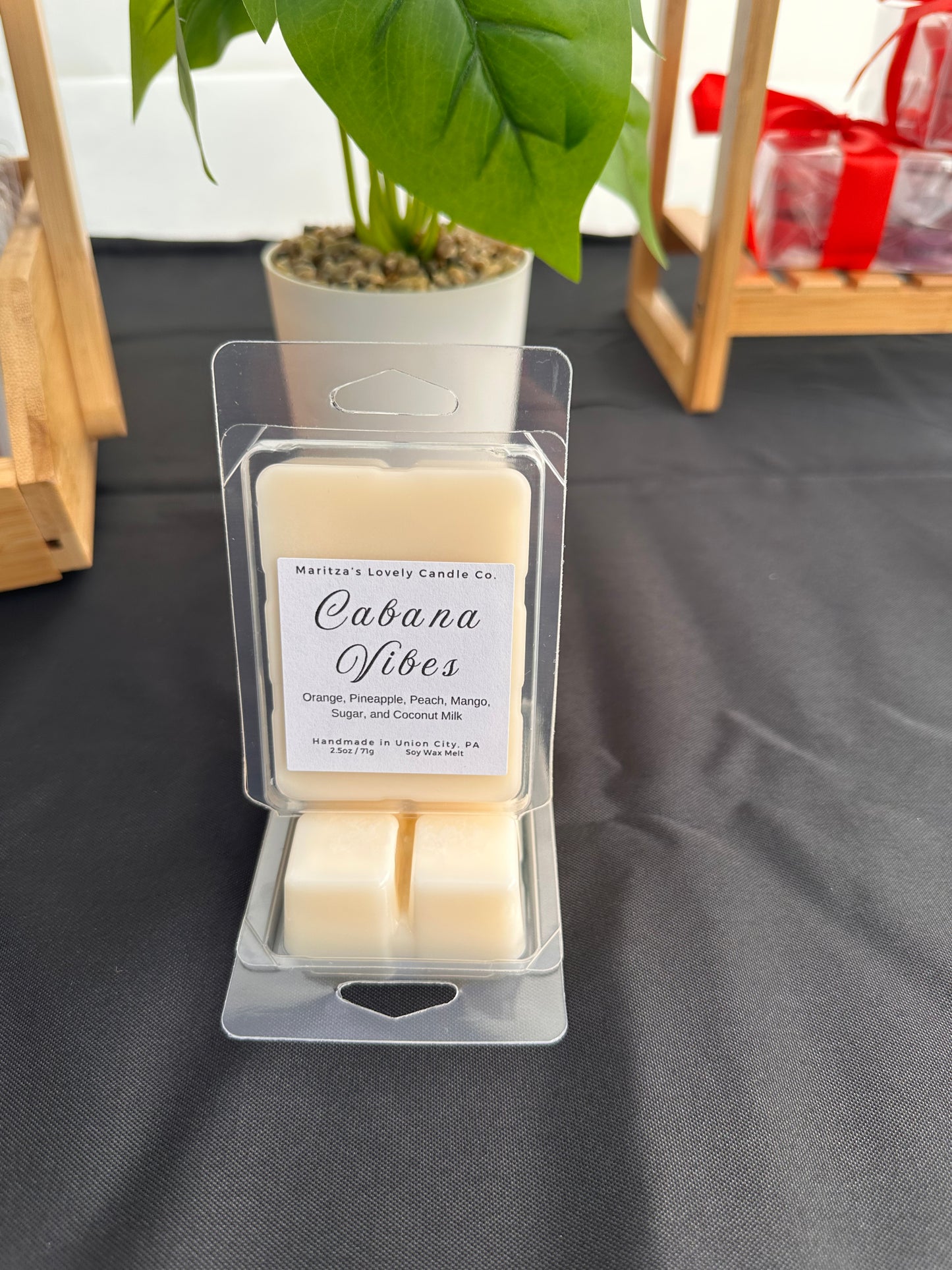 Cabana Vibes 2.5oz Soy Wax Melt