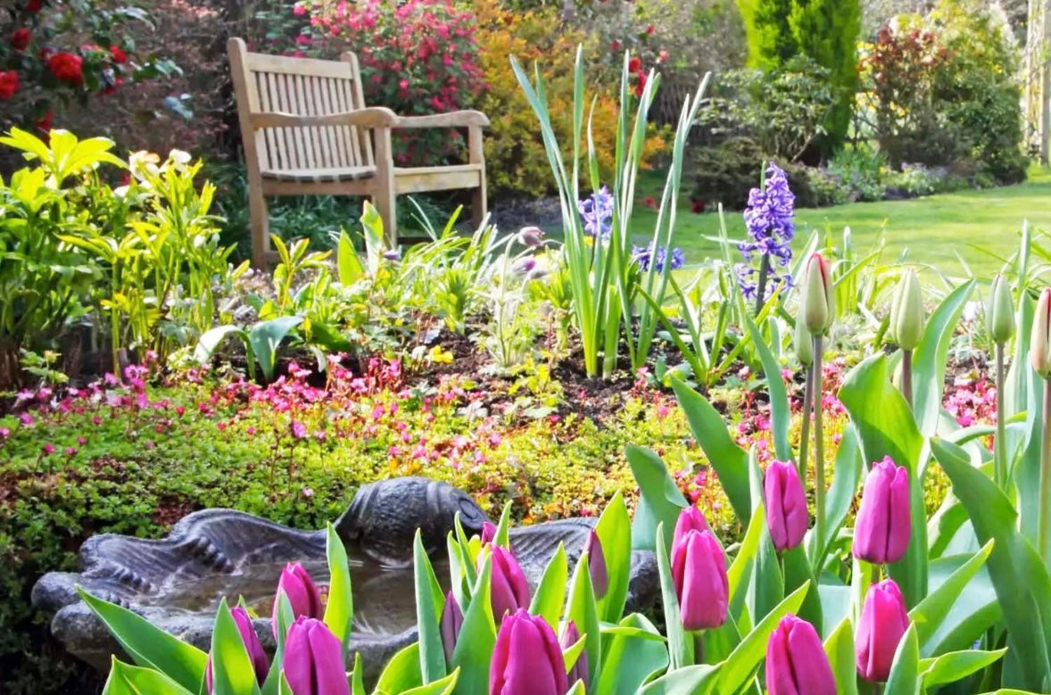 Spring & Summer Collection